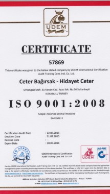 ISO 9001 ENG_742x1050